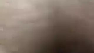 زوجه الهندي تورم الهرة الحلمات كبيرة