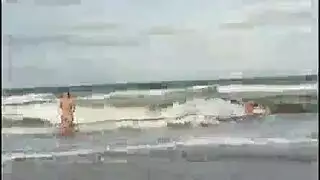 حركة تزاوج الحيوانات: حفر مهبلي مكثف