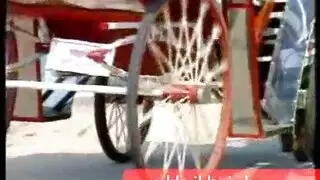ليالي عربية إباحية: ماراثون أفلام للكبار
