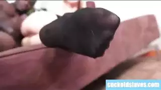 أرنبة ناضجة تركب بقوة مثل الفحل