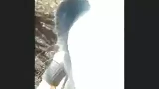 حديقة الخطيئة: عاهرة ترتدي حجاب تلتهم قضيبًا وحشيًا