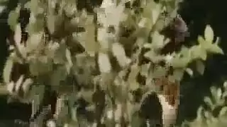 حركة قضيب وحشي: إله إبوني يمارس الجنس بقوة