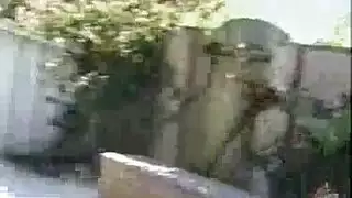 عنتيل المنوفية احمد شوقى