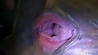 أنبوب إباحية مجاني: يوم مليء بعروض إكس إكس إكس غير متوقفة