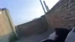 xxx عراقي متطرف: إيلاج مزدوج وبلع