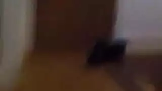 كارلي جيمس تأخذ قضيبًا ضخمًا في حلقها في فيديو بورن صارم