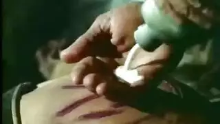 مشاهد نيك في الغابة والنهر وكل مكان