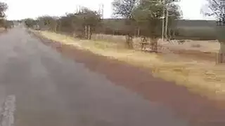 إباحي جزائري: جميلة شوكولاتة ترضع قبل شرج عنيف